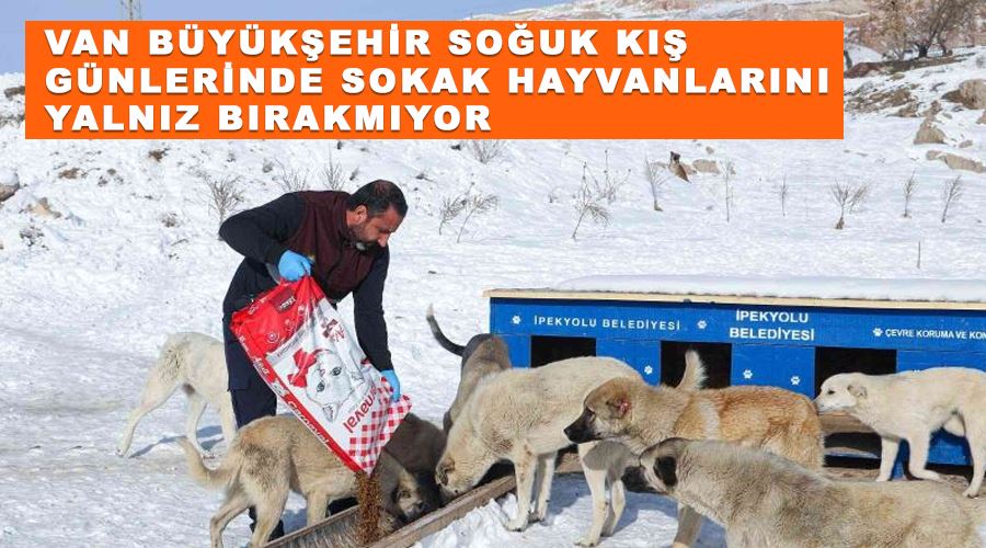 Van Büyükşehir soğuk kış günlerinde sokak hayvanlarını yalnız bırakmıyor