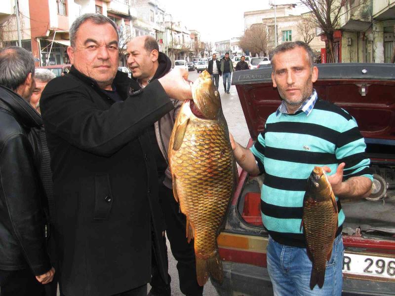 Kebap diyarında balık avlayarak geçimlerini sağlıyorlar
