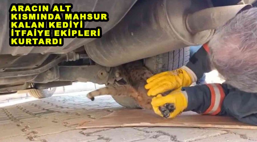Aracın alt kısmında mahsur kalan kediyi itfaiye ekipleri kurtardı
