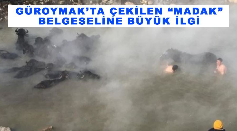 Güroymak’ta çekilen “Madak” belgeseline büyük ilgi