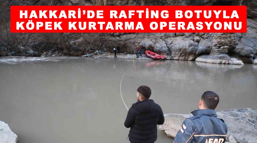 Hakkari’de rafting botuyla köpek kurtarma operasyonu