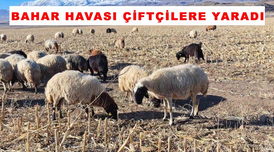 Bahar havası çiftçilere yaradı