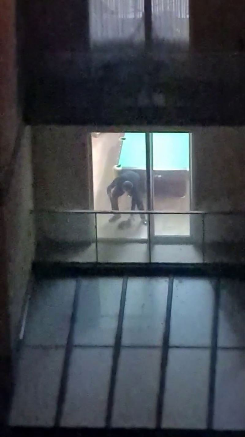 Köpeğe şiddet uygulayan şahıs, hayvanseverlerin elinden zor kurtuldu
