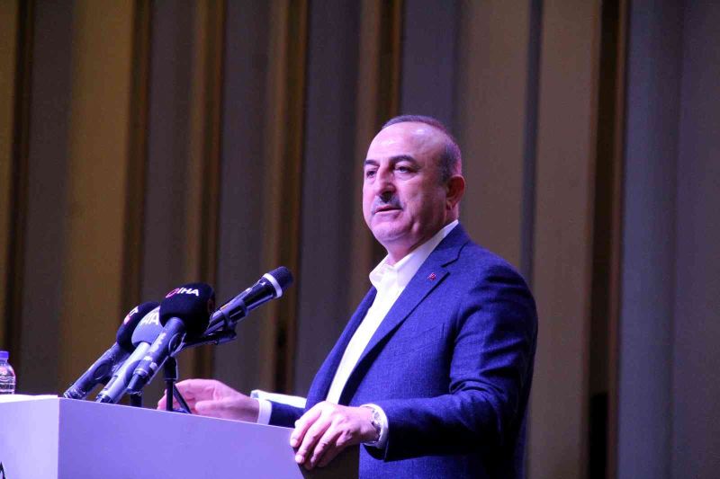 Çavuşoğlu: 