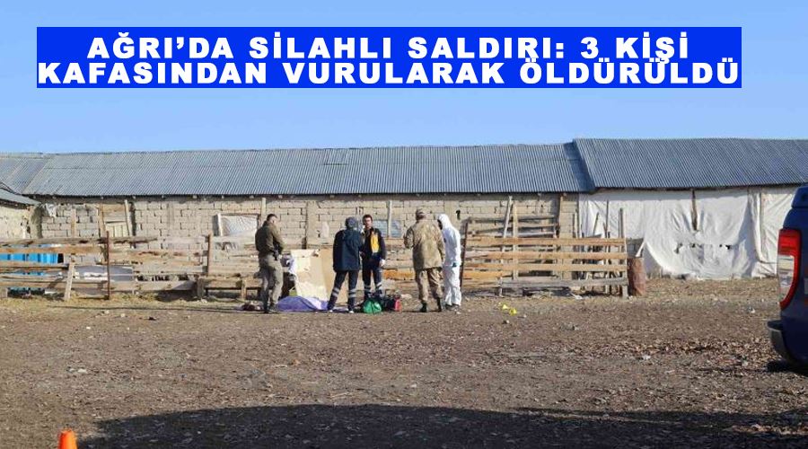 Ağrı’da silahlı saldırı: 3 kişi kafasından vurularak öldürüldü