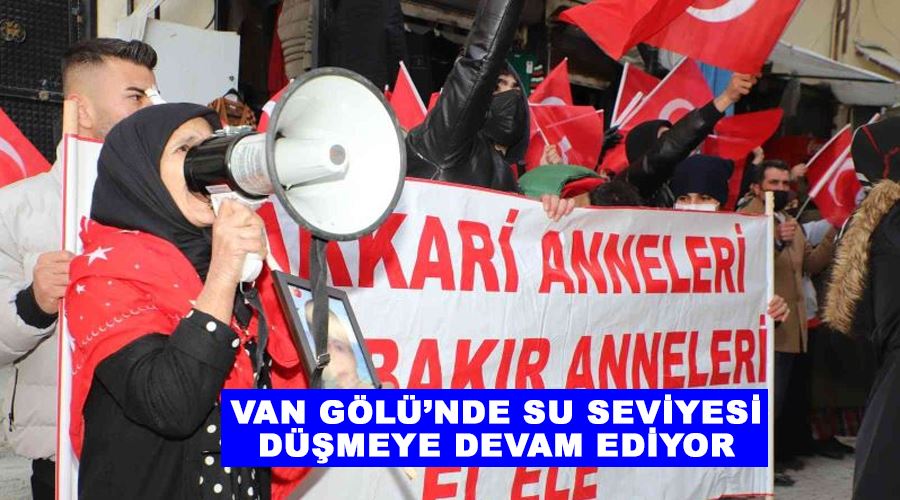 Hakkarili annelerin evlat nöbeti 41’inci haftada