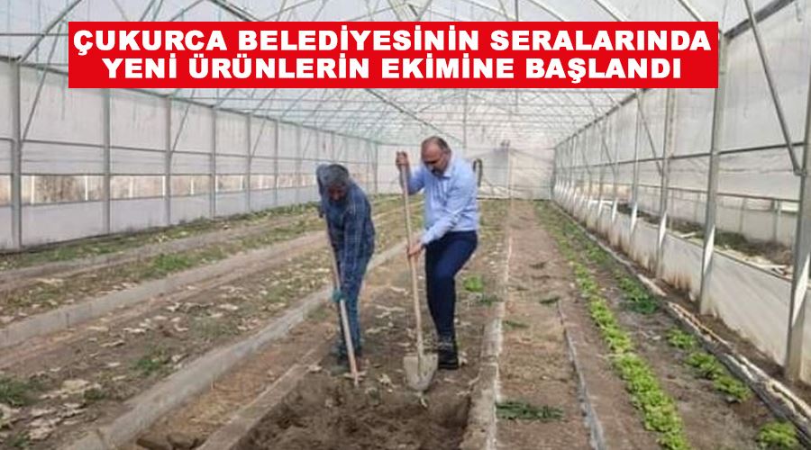 Çukurca Belediyesinin seralarında yeni ürünlerin ekimine başlandı