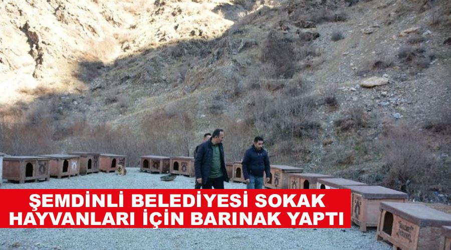 Şemdinli Belediyesi sokak hayvanları için barınak yaptı