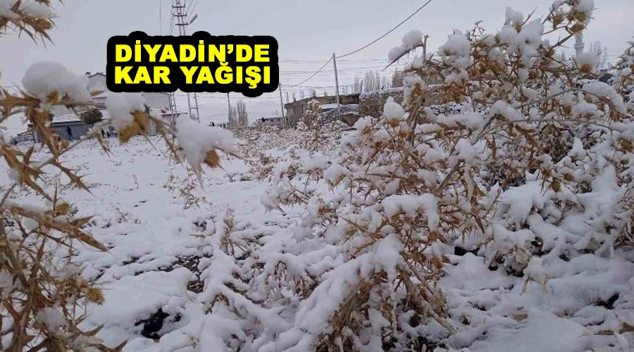 Diyadin’de kar yağışı
