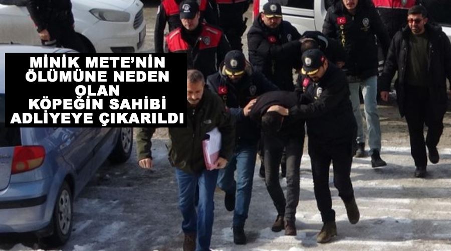 Minik Mete’nin ölümüne neden olan köpeğin sahibi adliyeye çıkarıldı