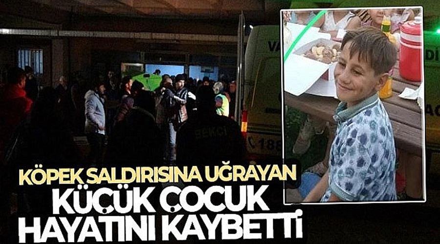 Van’da köpek saldırısına uğrayan küçük çocuk hayatını kaybetti