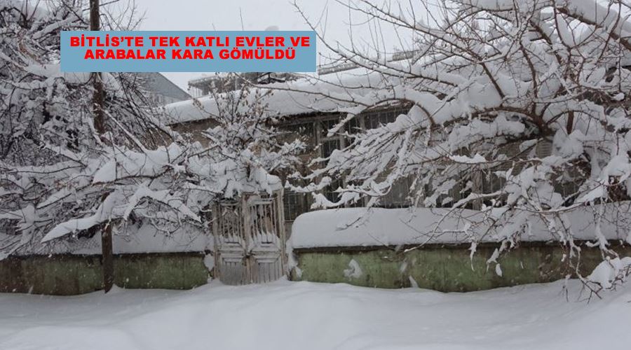 Bitlis’te tek katlı evler ve arabalar kara gömüldü