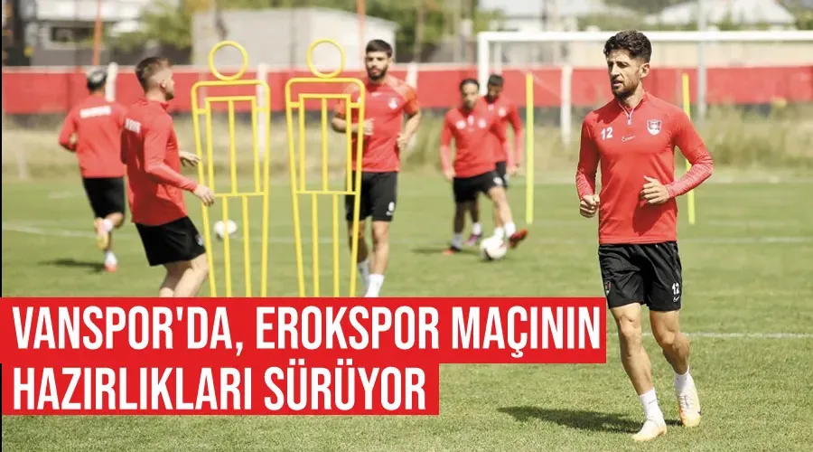 Vanspor