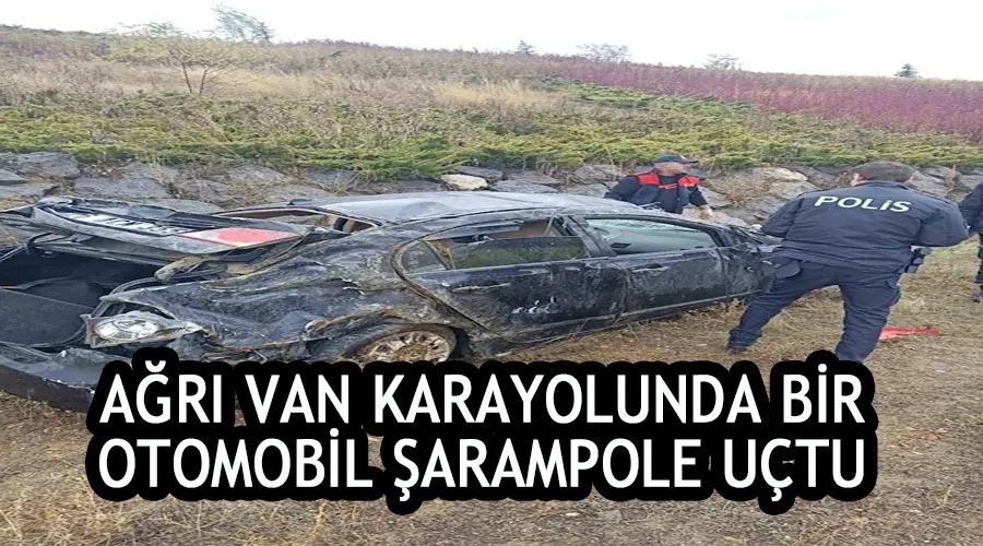 Ağrı Van karayolunda bir otomobil şarampole uçtu