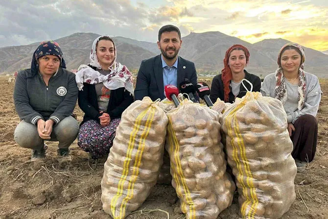 Yüksekova’nın toprağından bereket fışkırıyor: Ton ton patates elde edildi