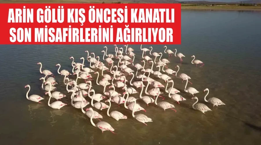 Arin Gölü kış öncesi kanatlı son misafirlerini ağırlıyor