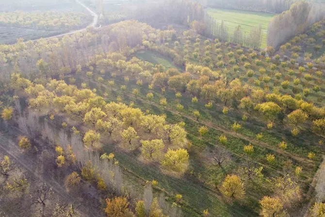 Iğdır’da sonbaharın son demleri göz kamaştırdı