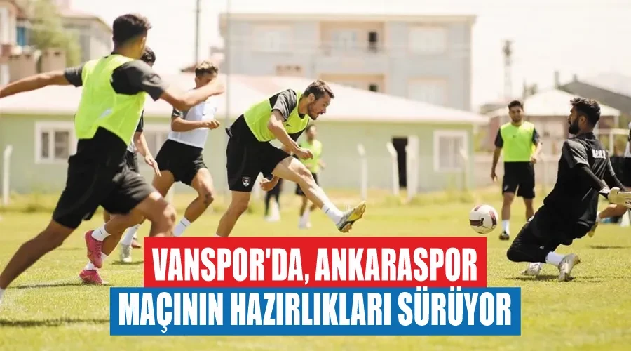 Vanspor