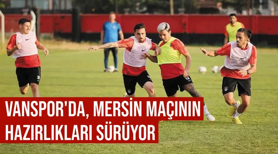 Vanspor