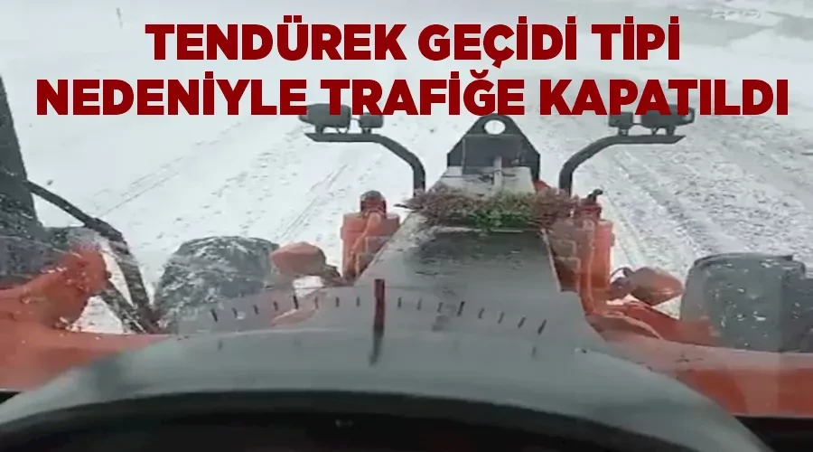 Tendürek Geçidi tipi nedeniyle trafiğe kapatıldı