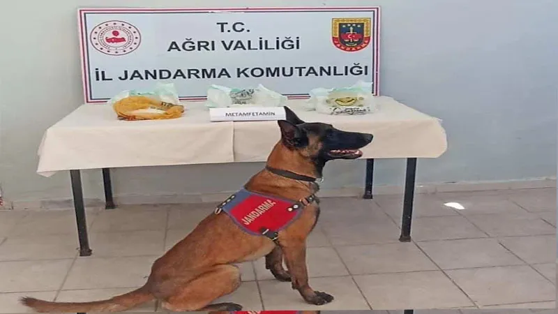 Ağrı’da uyuşturucudan 2 kişi gözaltına alındı