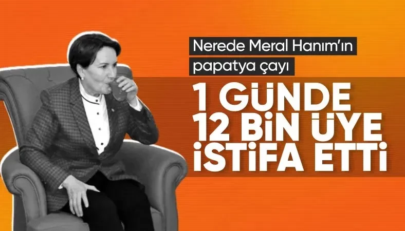 İyi Parti