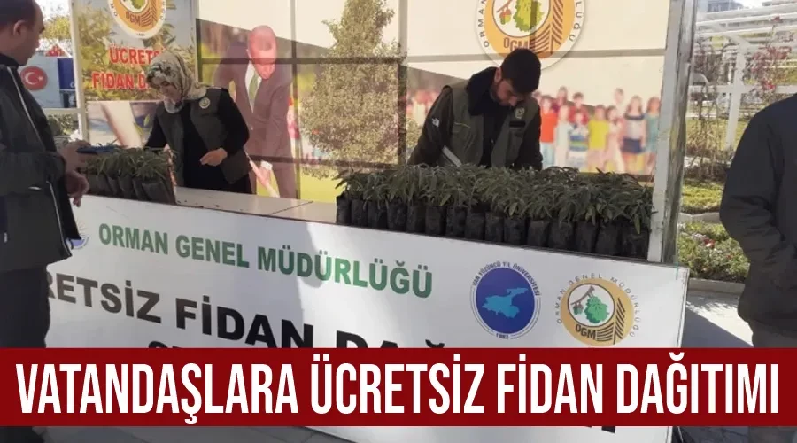 Vatandaşlara ücretsiz fidan dağıtımı