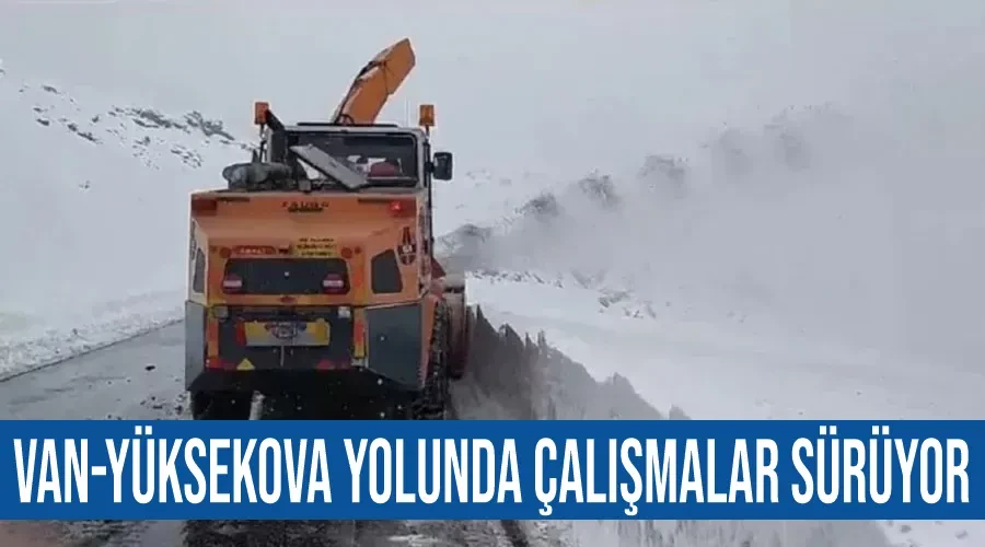 Van-Yüksekova yolunda çalışmalar sürüyor