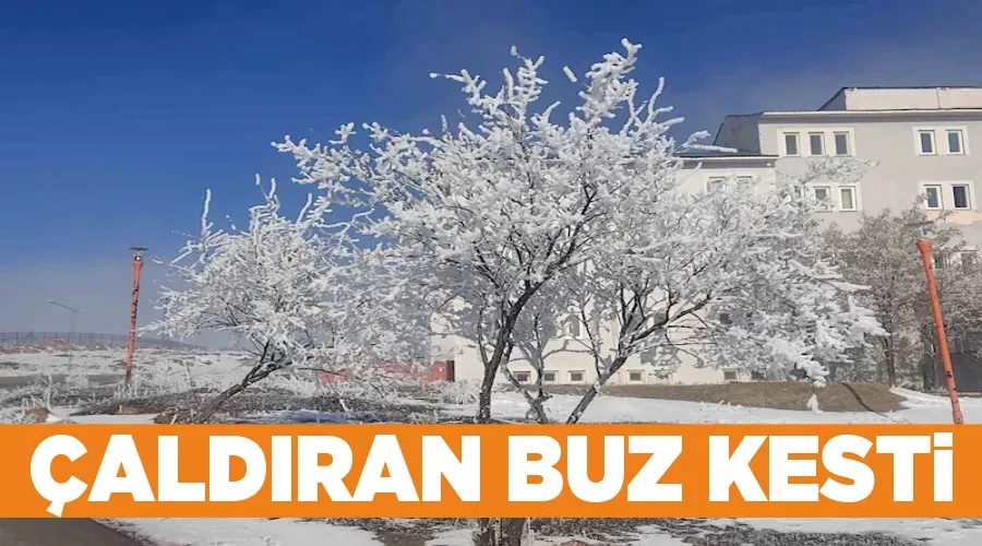 Çaldıran buz kesti