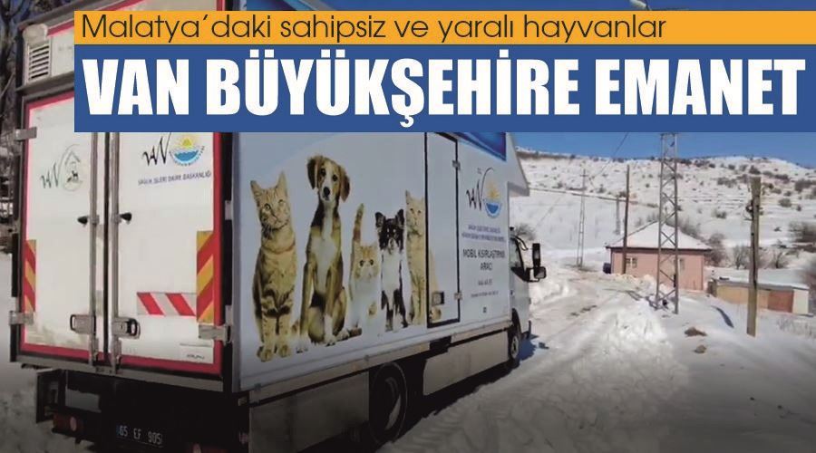 Malatya’daki sahipsiz ve yaralı hayvanlar Van Büyükşehire emanet