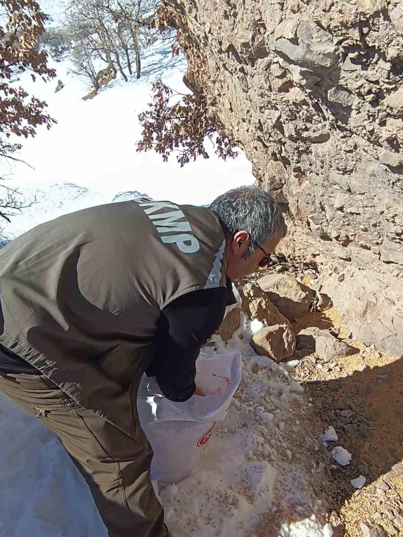 Tunceli’de yaban hayatı için yemleme çalışması
