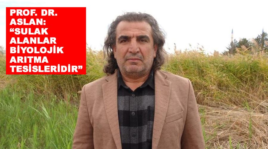 Prof. Dr. Aslan: “Sulak alanlar biyolojik arıtma tesisleridir”