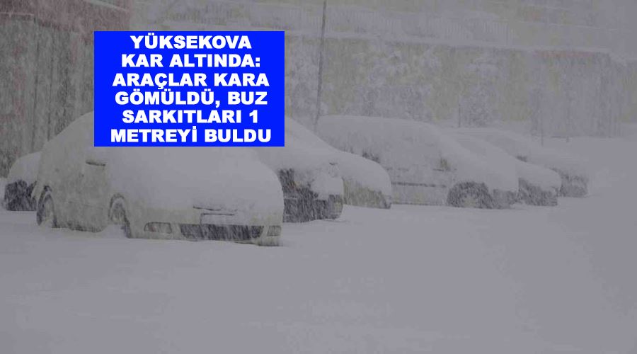 Yüksekova kar altında: Araçlar kara gömüldü, buz sarkıtları 1 metreyi buldu