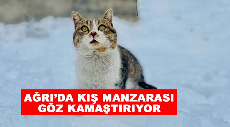 Ağrı’da kış manzarası göz kamaştırıyor