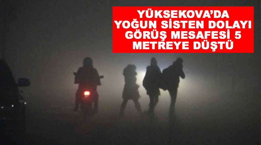 Yüksekova’da yoğun sisten dolayı görüş mesafesi 5 metreye düştü