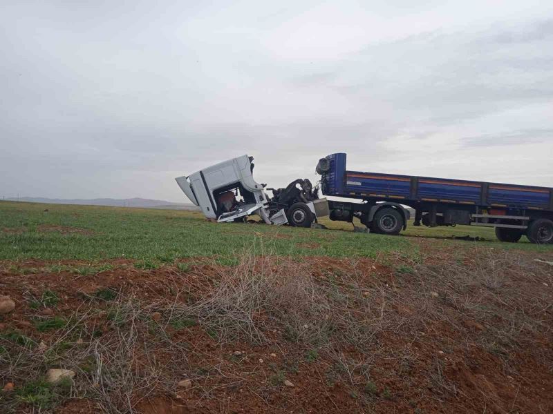 Yoldan çıkan tır buğday tarlasına girdi
