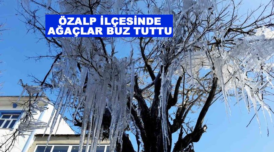 Özalp ilçesinde ağaçlar buz tuttu