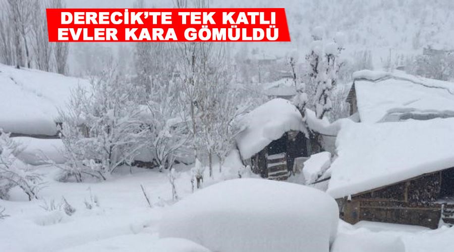 Derecik’te tek katlı evler kara gömüldü