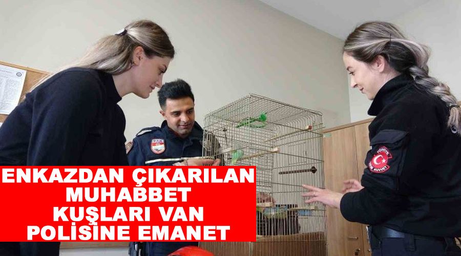 Enkazdan çıkarılan muhabbet kuşları Van polisine emanet