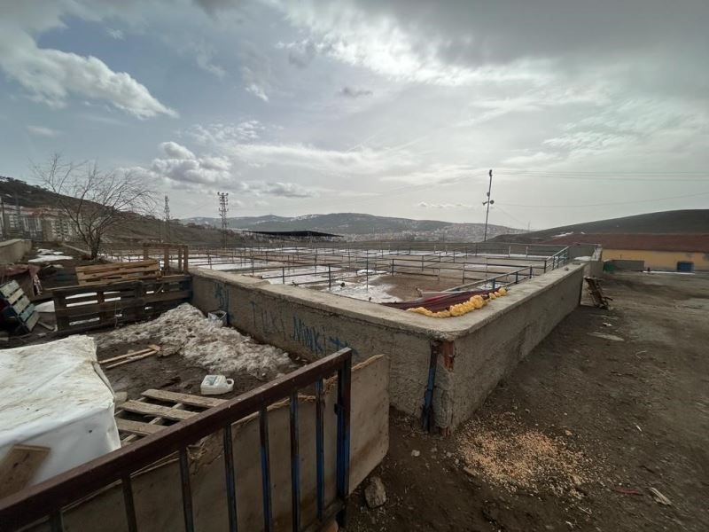Yozgat’ta canlı hayvan pazarları tedbiren kapatıldı
