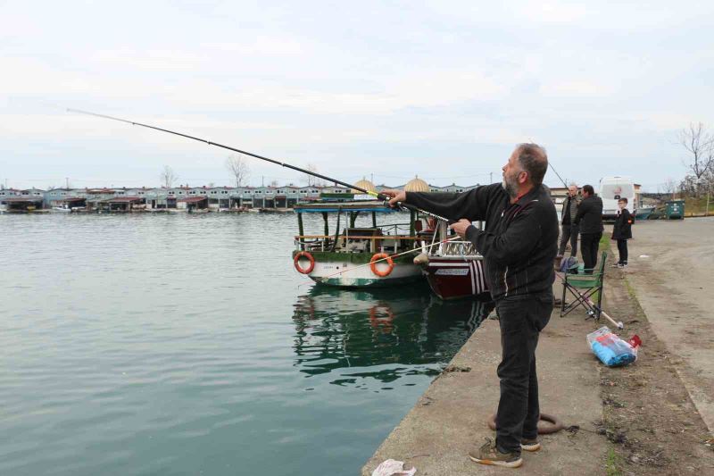 Trabzon’un kaçak somonları Rizeliler’in yüzünü güldürüyor
