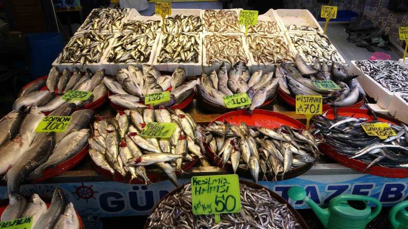 Balık avında Karadeniz’i bekleyen tehlike
