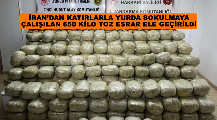 İran’dan katırlarla yurda sokulmaya çalışılan 650 kilo toz esrar ele geçirildi