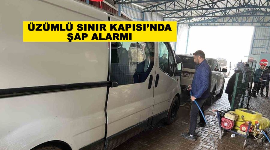Üzümlü Sınır Kapısı’nda şap alarmı