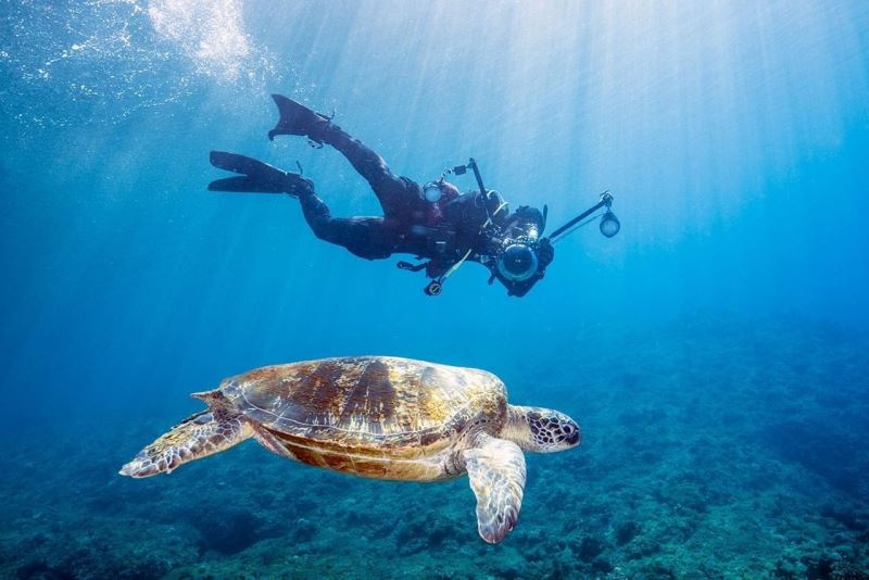 Tayvan’a gelen turistlere para ödenecek
