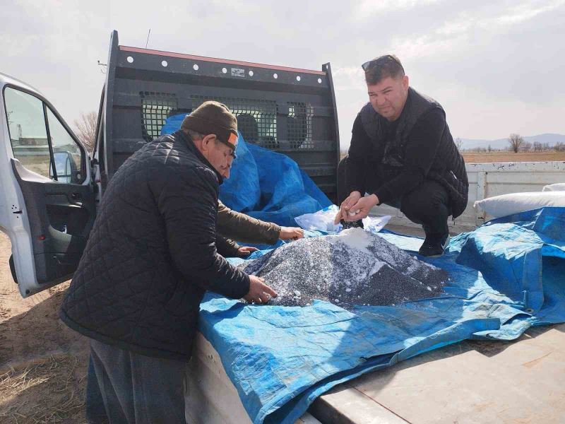 (ÖZEL) Fiyatı yükselişe geçince üreticiler bu yıl tarlalarına soğan ekmeye başladı
