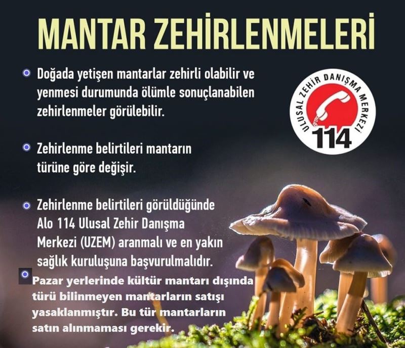 Karacasu’da türü bilinmeyen mantarların satışı yasaklandı
