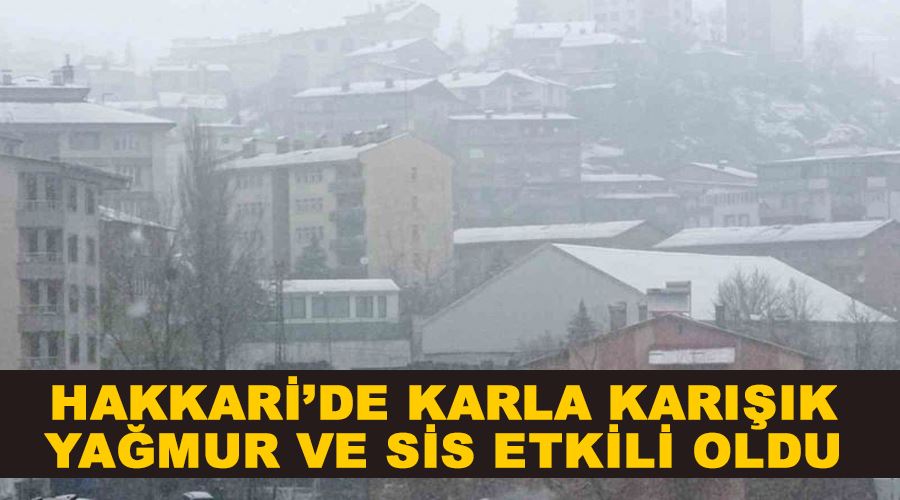 Hakkari’de karla karışık yağmur ve sis etkili oldu