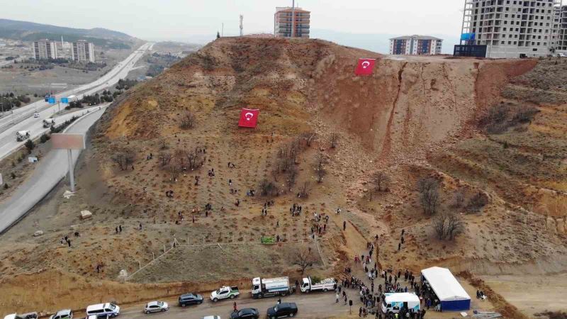 43 ilin geçiş güzergahı fidanlarla yeşerecek: Yüzlercesi toprakla buluşturuldu
