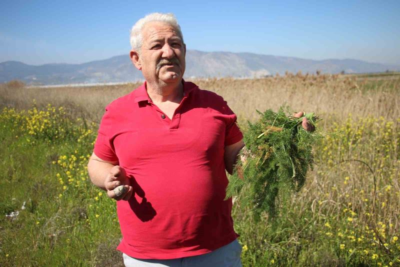 Yol kenarından topladığı otlardan para kazanıyor
